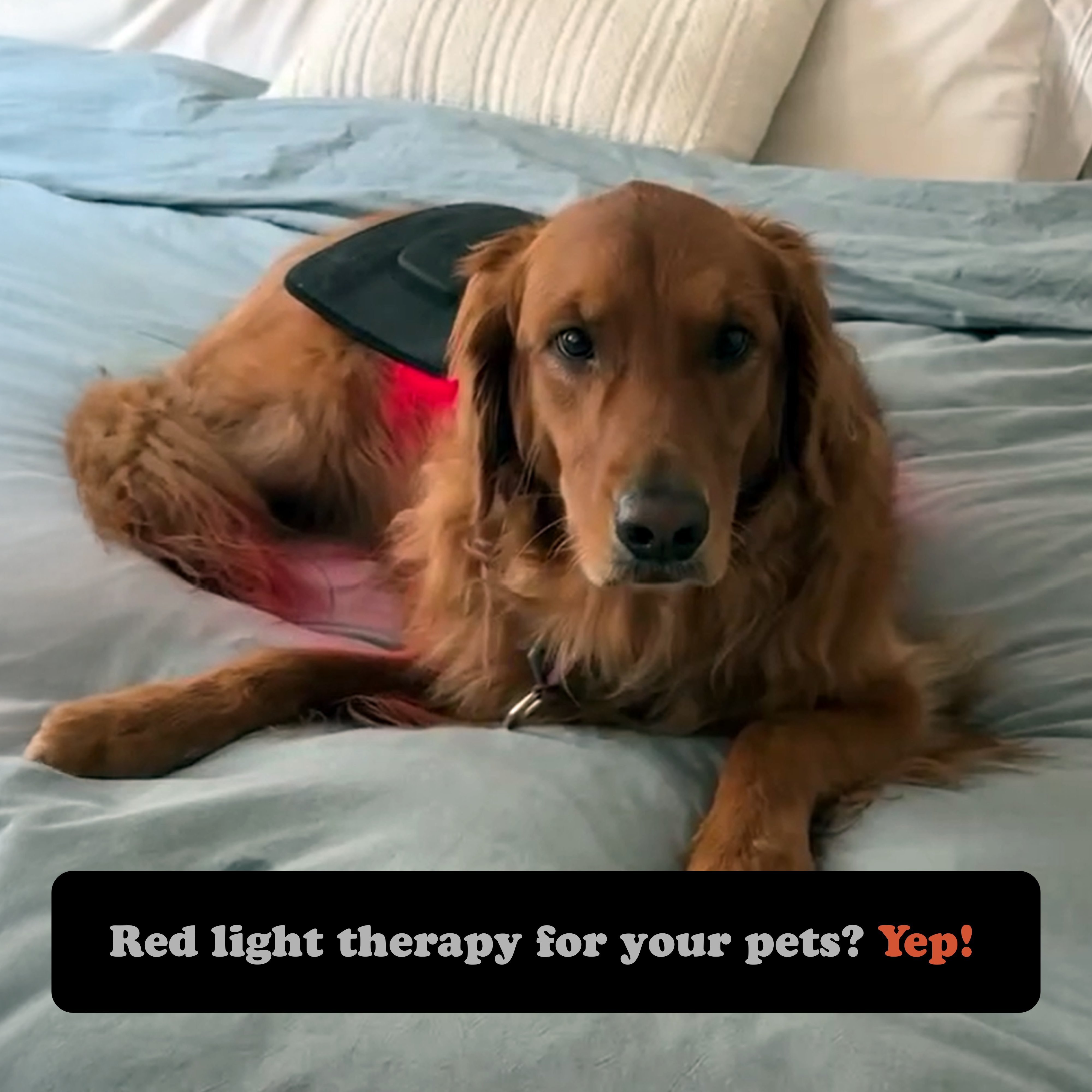 Red Light Therapy Wrap