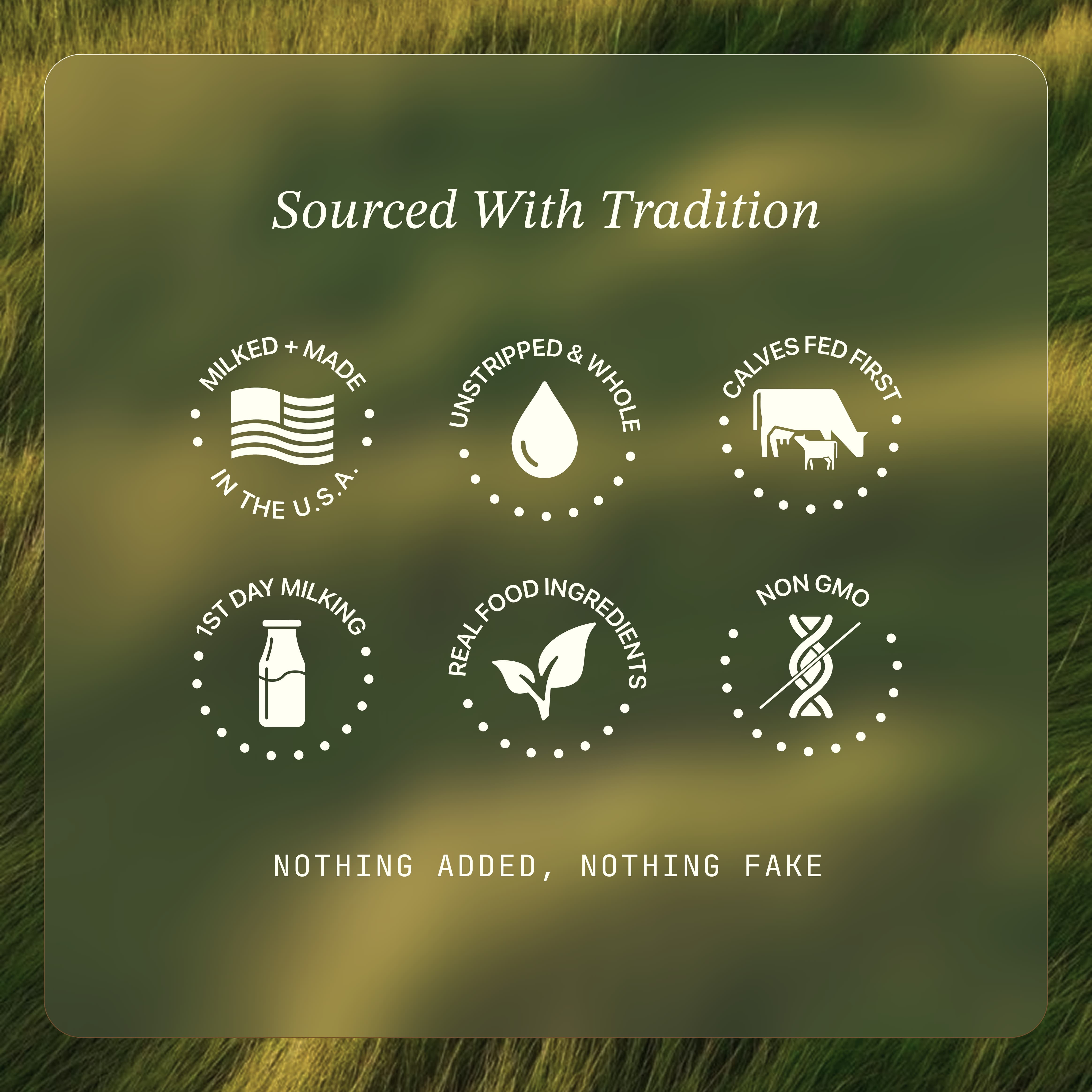 Cowboy Starter Kit: Vanilla